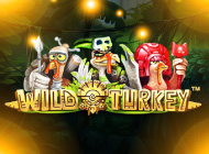 Исследуйте непроходимые джунгли в автомате на деньги Wild Turkey